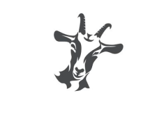 queso-cabra